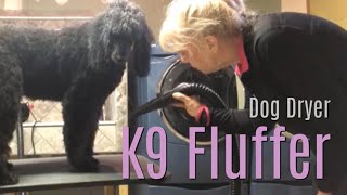 K9 Fluffer Dog Dryer Demo | Standard Poodle Owner