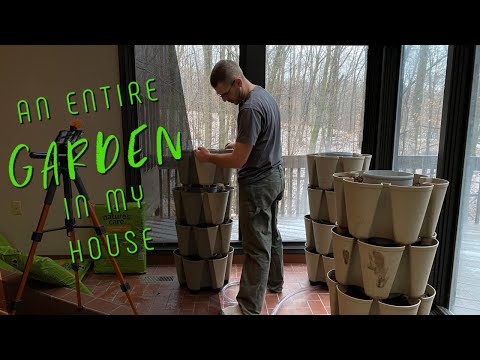 Wideo: Jak posadzić domek w ogrodzie
