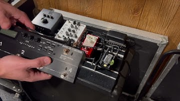 Before you buy the Boss MS3 by Blue Collar Gear Review