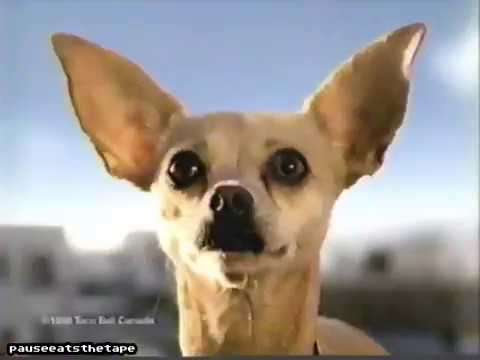 Details about   1998 Yo Quiero Taco Bell Chihuahua Tested And Does Not Speak 