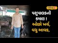 Bharuch news | પશુપાલકની કમાલ ! ઓછો ખર્ચ, વધુ આવક | animal husbandry | high Income | Local18