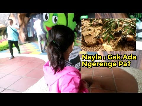 nafa-nayla-kenalan-dengan-para-kumbang-di-jatim-park-2-batu-malang