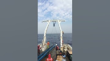 PistonCore Timelapse