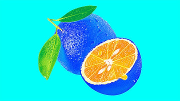 스톱모션 애니메이션을 만족시키는 과일 및 채소 내부 패턴 Patterns Inside Fruits and Vegetables Stop-Motion Animation 127