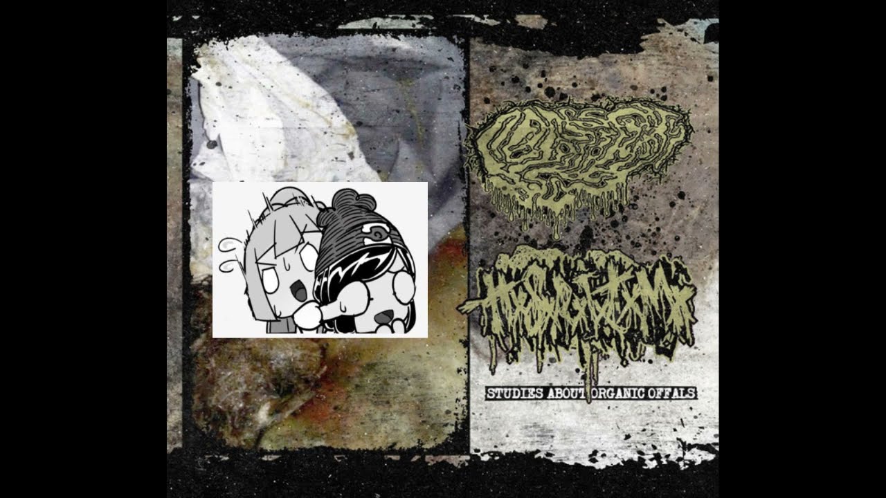 Split - Fetal Deformity/Human Stench Rests In The Morgue - Studies About Organic Offals 2022