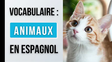 Quels sont les animaux en voie de disparition en Espagne ?