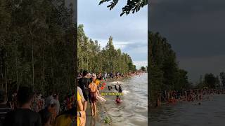 Nét văn hóa tắm đồng mùa nước nỗi đặc trưng miền Tây #vanhoa