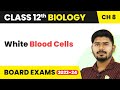 White Blood Cells - Human Health and Disease | Class 12 Biology