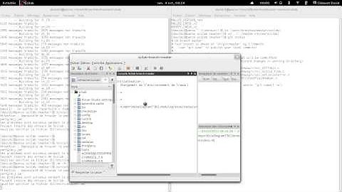 Scilab bug #12958 working video