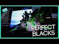 If You Want An OLED This Is The ONE ?! Amazing Blacks ! ( OLED55C8P )