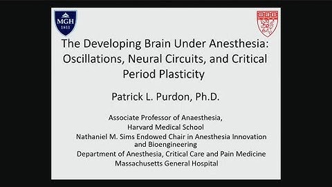 The Developing Brain under Anesthesia: Oscillations, Neural Circuits, and Critical Period Plasticity