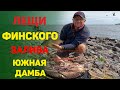 Рыбалка на Финском заливе. Ловля леща.