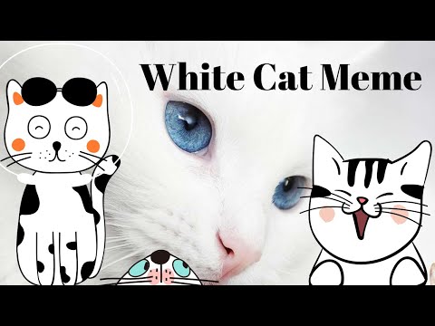 white-cat-meowing-meme-|-yelling-cat-sounds-meme