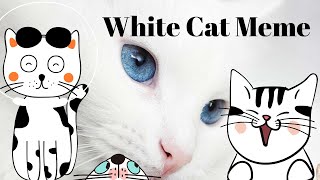White Cat Meowing Meme | Yelling Cat Sounds Meme