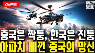 짝퉁 아파치는 무서울 것도 없다 | 아파치와 LAH가 지키는 대한민국