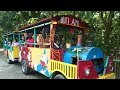 Kejar Odong-Odong, Asik & Seru Naik Kereta ODONG ODONG Putri Ayu Kereta Wisata Keluarga Lagu Bunga