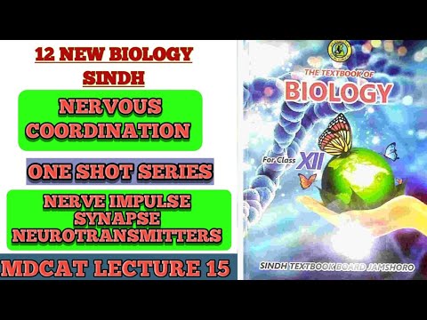 #NERVOUS COORDINATION ONE SHOT LECTURE PART 1 || NERVE IMPULSE SYNAPSE || NEUROTRANSMITERS