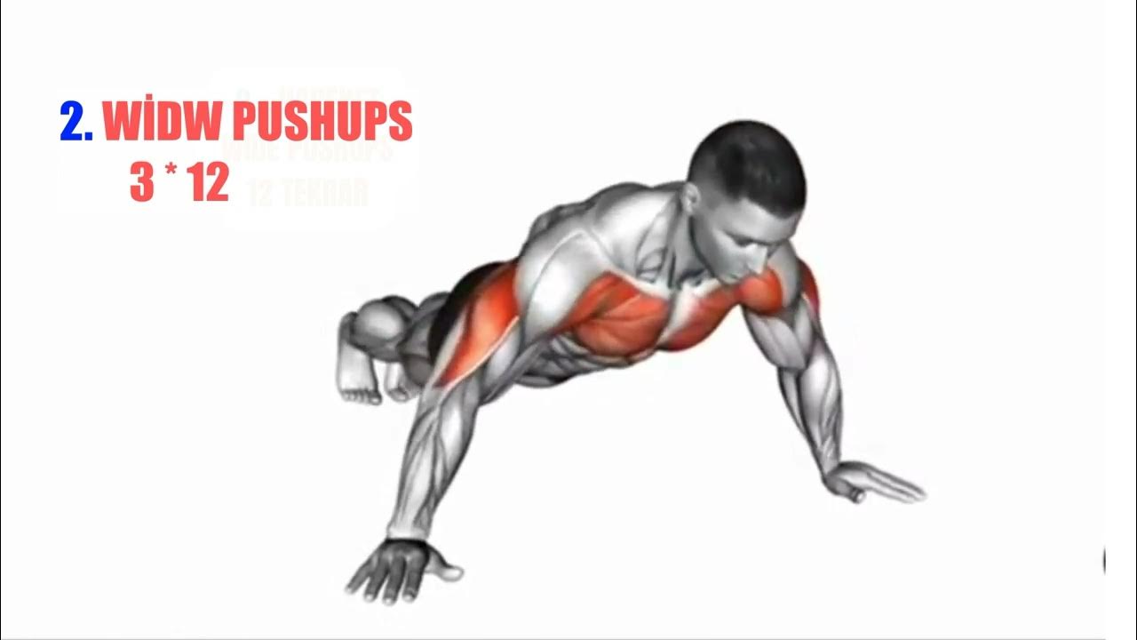 THE MOST EFFECTIVE CHEST AND BACK ARM EXERCISES YOU CAN DO WITHOUT