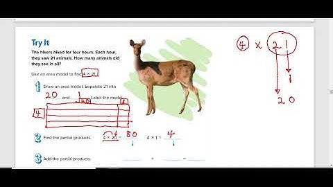 Hands On  Use Models to Multiply