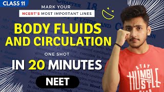 Body Fluids and Circulation Class 11 | Biology | For NEET | Full Revision In 20 Minutes