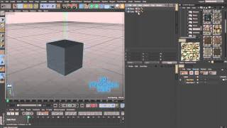 CINEMA 4D Take System basic