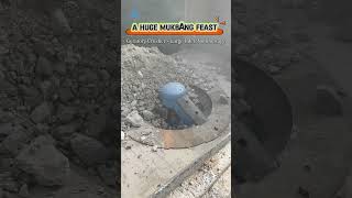 Crusher ASMR: Jaw, Cone &amp; Gyratory Crushers Eating Rocks.