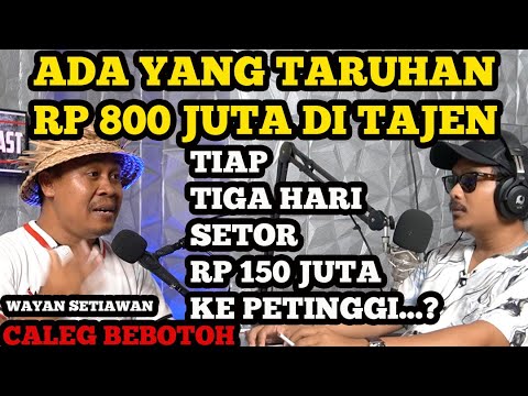 Video: Birdie di Latar Belakang: Hidup Dengan Tiga Bayan Main Main