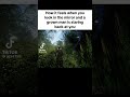 Du siehst dich selbst #meme #sicherheit #gaming #spiegel