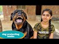 My dog will not allow Anshu to touch||Guard dog video.