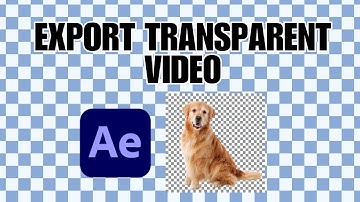 How To Export Transparent Video In After Effects