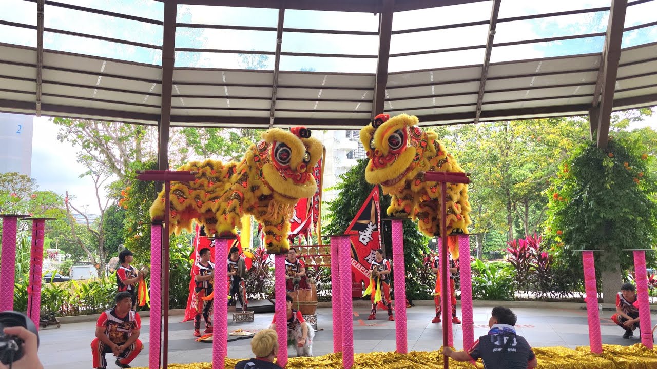 2026 twin lion dance on high poles at SAFRA Yishun 