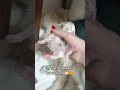 Maşallah Bebeğim Yeni Dünyay Geldi