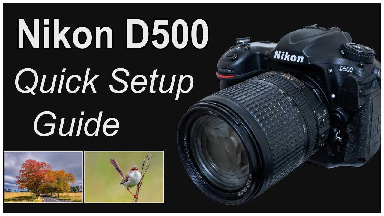 Nikon D500 Quick Setup Guide - How I Customized My D500 - YouTube