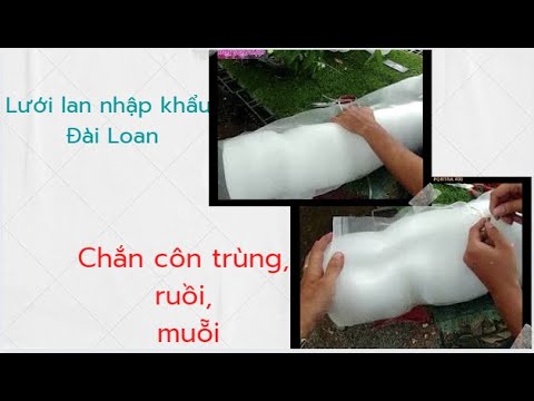 Video: Lưới Thăn Là Gì