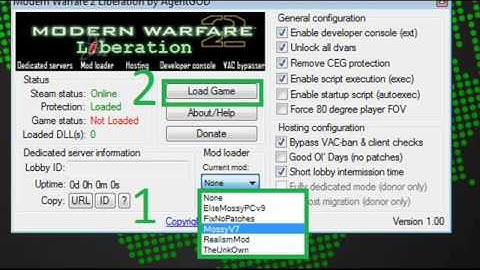 How to install Mods in MW2 Pc