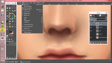 Nose Tut on GIMP//IMVU