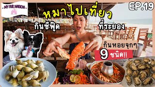 EP.19 - หมาไปเที่ยว | กินซีฟู้ดระยอง สดจริง!! ปูทะเล กุ้งมังกร หอย 9 ชนิด+คาเฟ่สวยในเมืองหมาเข้าได้