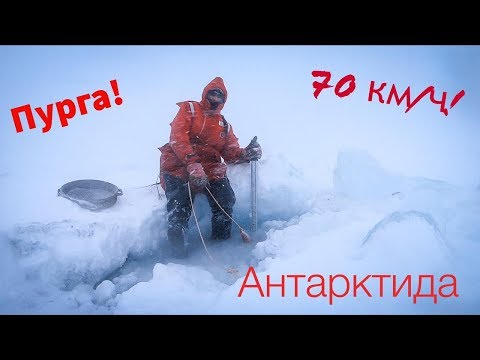 Один день из жизни океанолога в Антарктиде!