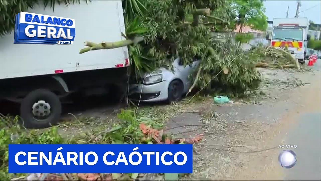 Sem luz e sem água: queda de árvore expõe caos na zona sul de São Paulo