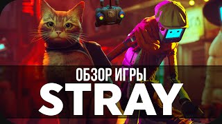 ЛУЧШАЯ ИГРА ГОДА! КРАТКИЙ ОБЗОР ИГРЫ STRAY!