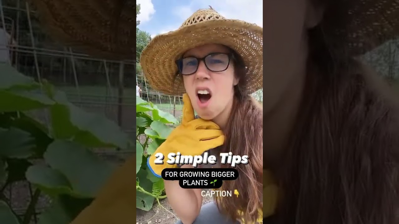 Overcrowding your plants is NOT always better instead: following spacing guidelines + use companions