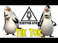 Озвучка Пингвины Мадагаскара, брат: Tik Tok