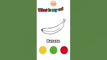 Color Me! What Is My Color?