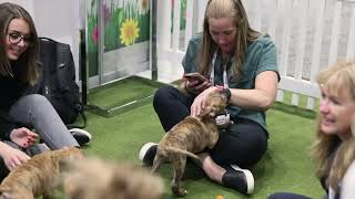 Petfood Forum 2024: Unveiling the Innovative World of Pet Food