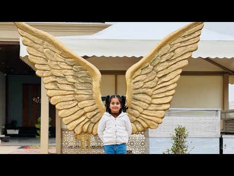 Anaya Kandhal Live Video