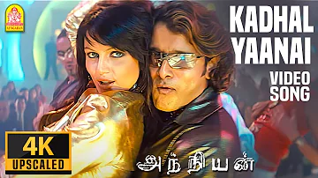 Kadhal Yaanai - 4K Video Song | காதல் யானை | Anniyan | Vikram | Shankar | Harris Jayaraj | Ayngaran