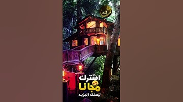 ليلة القدر❤🌺قرآن كريم💛🌼حالات ستوريات💚🍀واتس آب /انستقرام