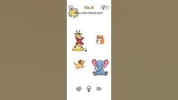 Brain out level 1,2,3,4,5 solutions