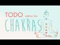 ¿Qué son los chakras del cuerpo humano? Ubicación, función, símbolos y colores