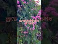 behtar se behtar ki talas kare #youtubeshorts #love #motivation #trendingshorts